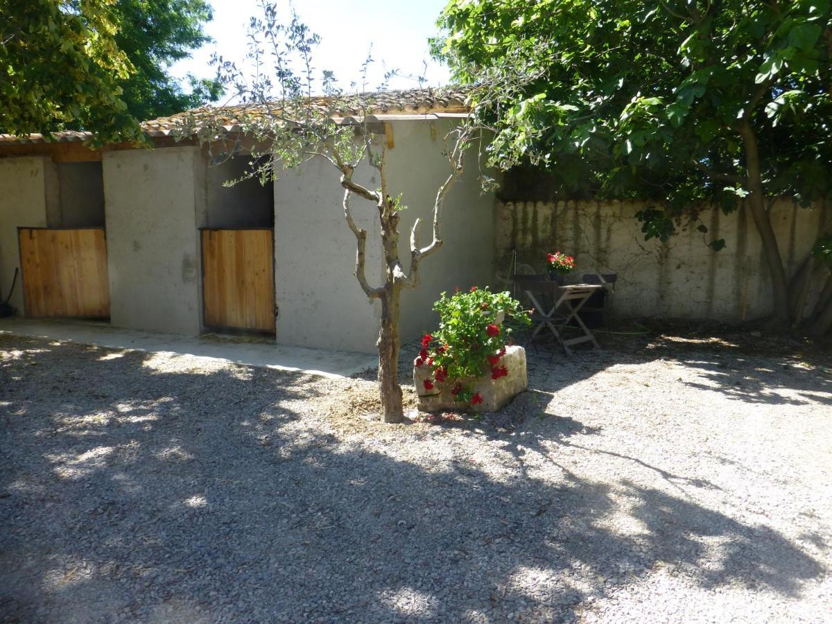 Mas D'Auzieres Bed & Breakfast Saint-Gilles  Exterior photo